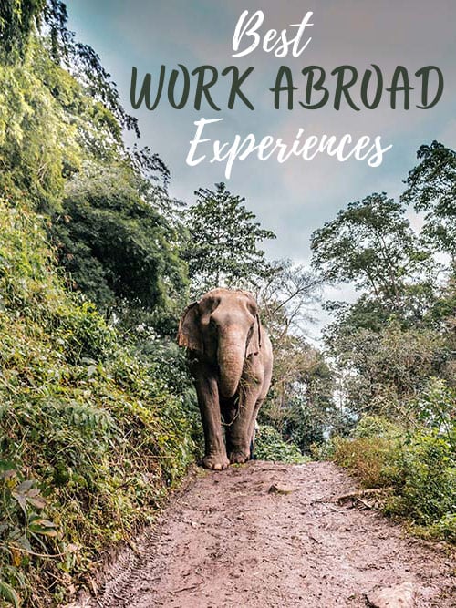 10 Best Work Abroad Experiences Around The World