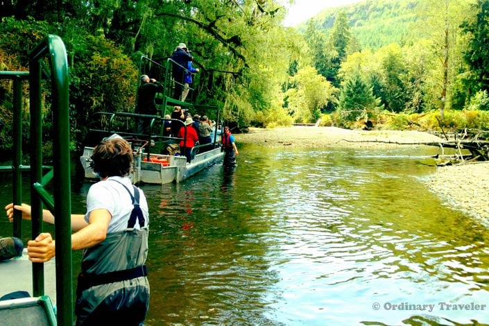 Grizzly Bear Tours in British Columbia, Canada
