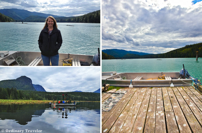 Grizzly Bear Tours in British Columbia, Canada