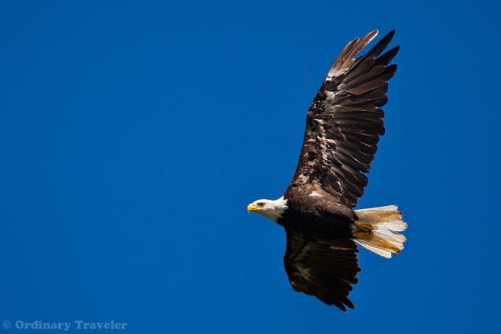 See What You're Missing in Southeast Alaska
