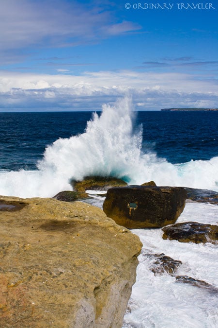 Budget Tips for Taking a Road Trip Along The East Coast of Australia