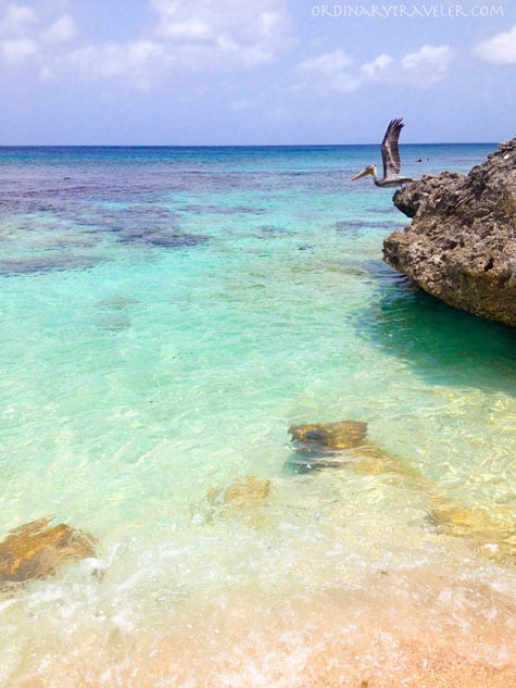 Wayaka 2 Beach in Slagbaai National Park - Bonaire