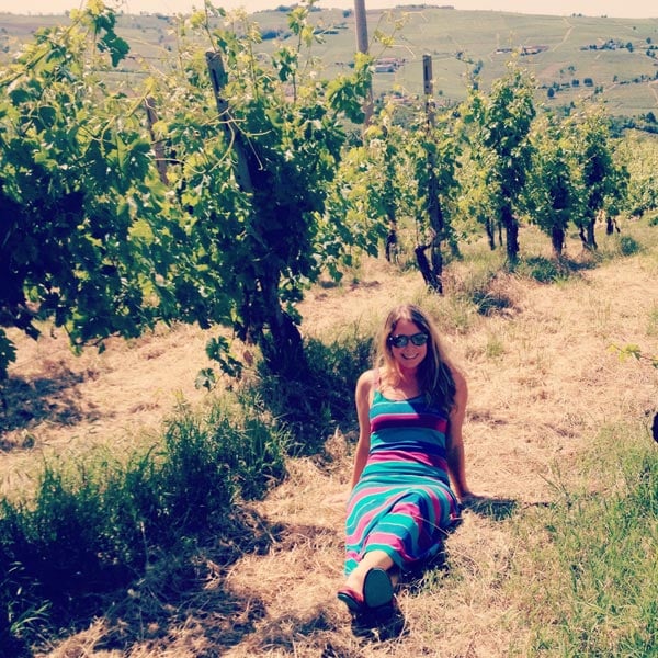 Vineyards in Val Tidone - Emilia Romagna, Italy