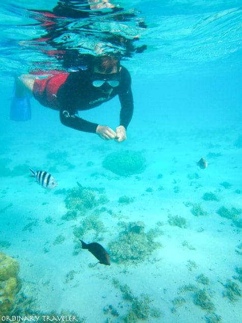 Mauritius Travel Tips - When to Go & Where to Stay! Snorkeling Le Morne Mauritius, Africa
