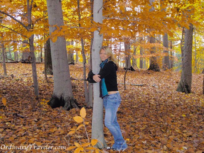 10 Free Things To Do In New Jersey