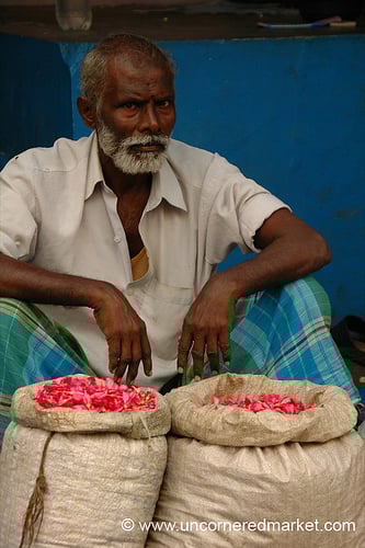 Travel Photographer Interview - Featuring Uncornered Market