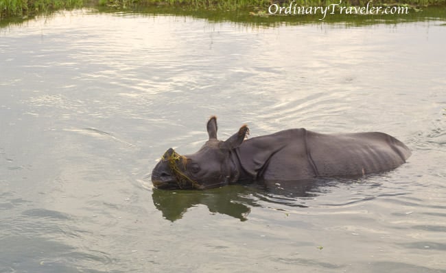 Nature Walk from Hell - Chitwan, Nepal