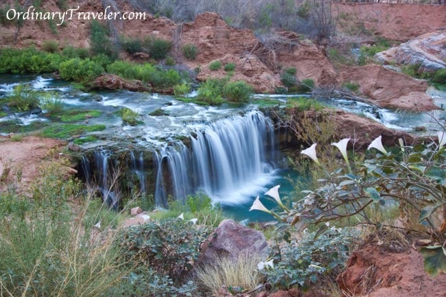12 Stunning Havasu Falls Photos That Will Inspire Wanderlust