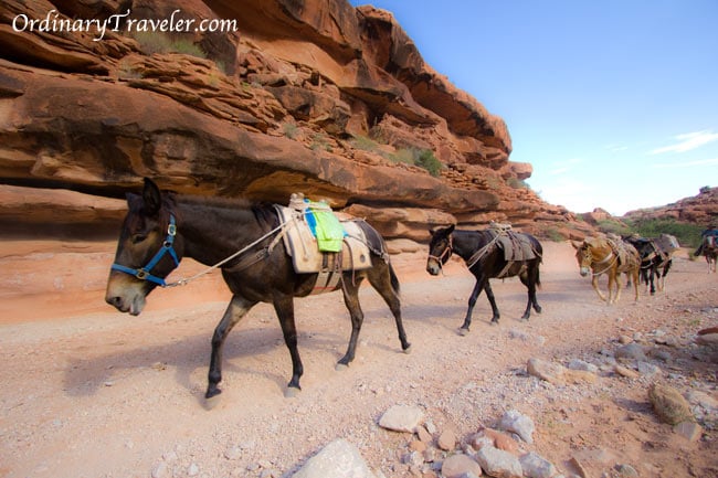 12 Stunning Havasu Falls Photos That Will Inspire Wanderlust