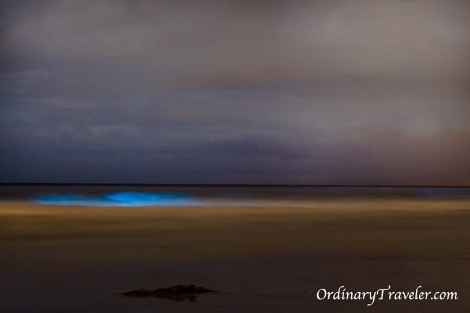 Red Tide Magic - Bioluminescence Captured at Night in San Diego