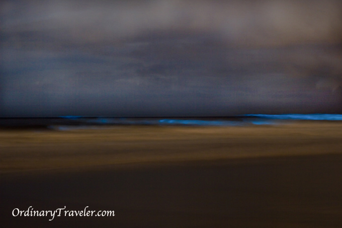 Red Tide Magic - Bioluminescence Captured at Night in San Diego