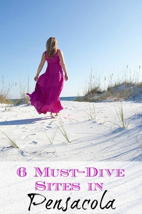 Six Must-Dive Sites in Pensacola, Florida