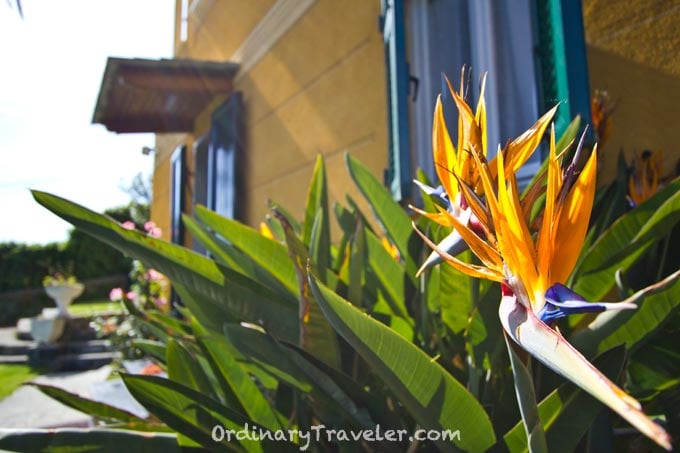 Villa Margherita Bed & Breakfast Garden