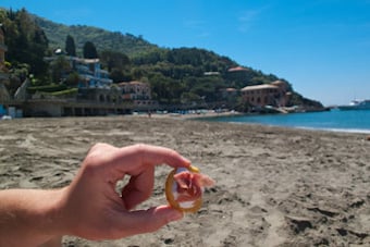 Beach Picnic in Cinque Terre Italy