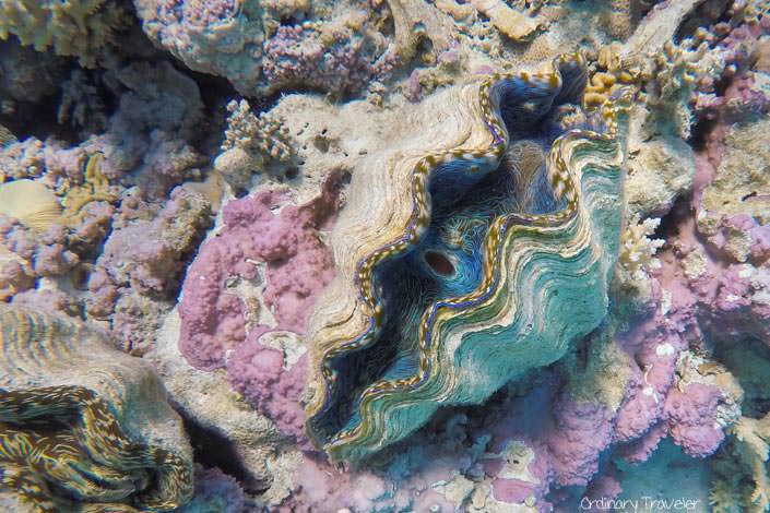 What to Pack for the Cook Islands