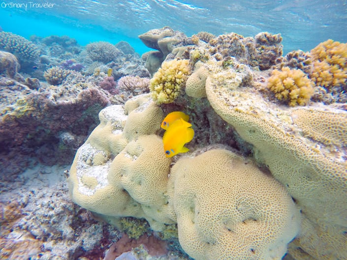 Cook Islands Sample Itinerary 