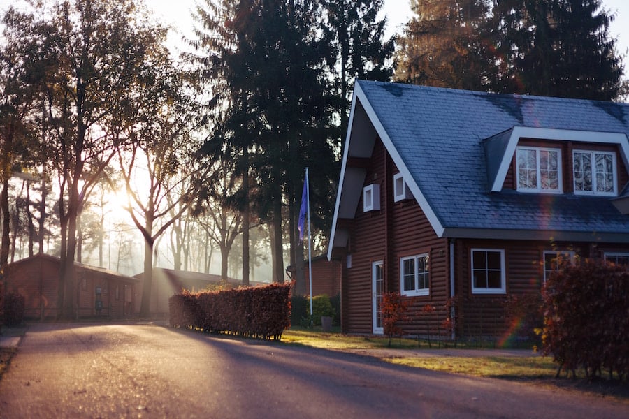 Why We Love Using TrustedHouseSitters When We Travel