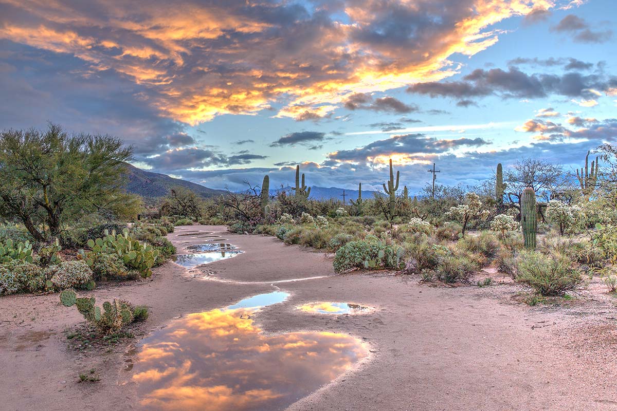Arizona Staycation in Tucson
