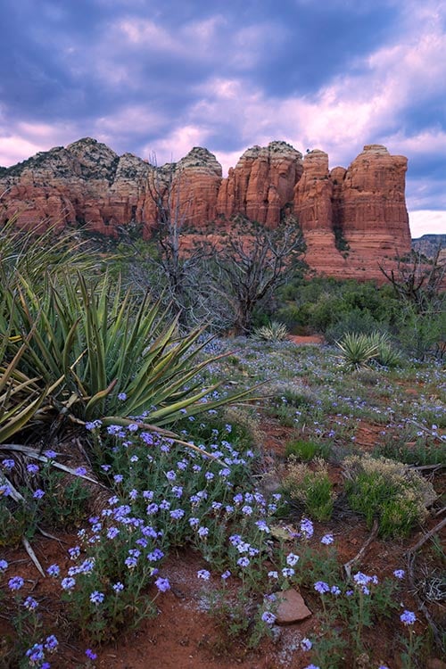 Arizona Staycation in Sedona