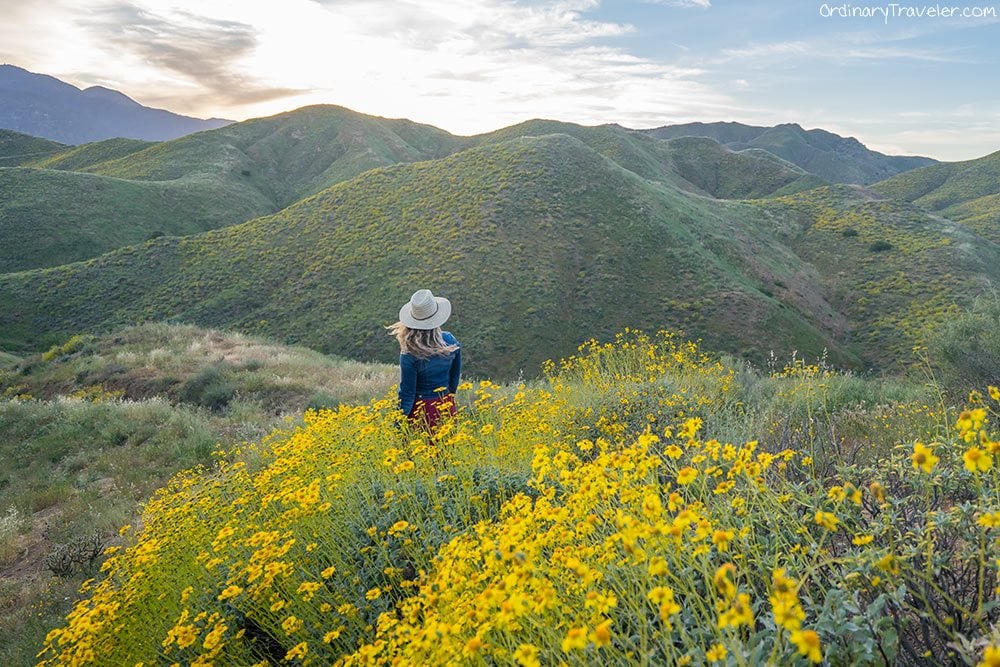 3 Simple Ways to Avoid Getting Sick While Traveling