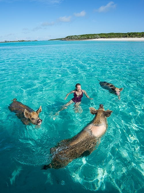 Bahamas Affordable All-Inclusive Resorts