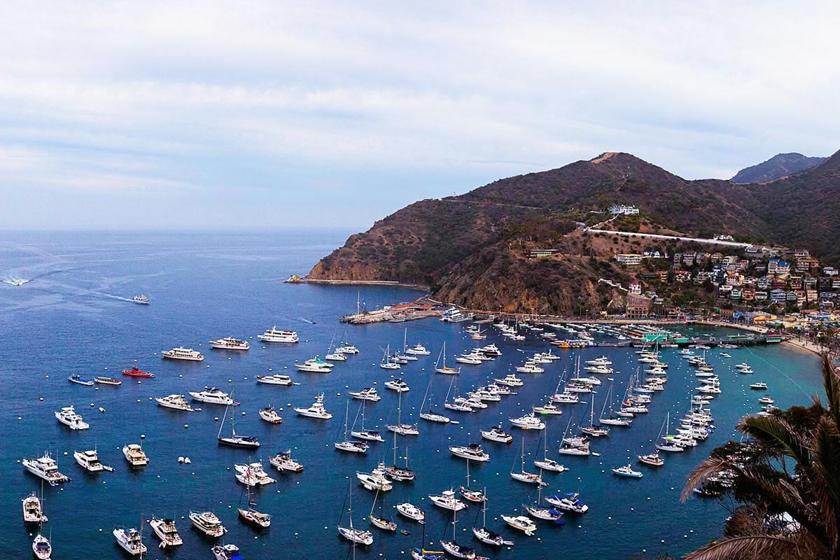 Catalina Island Harbor
