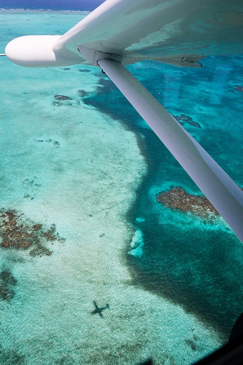 How to Book a Blue Hole Scenic Flight Tour in Belize How to Book a Blue Hole Scenic Flight Tour in Belize