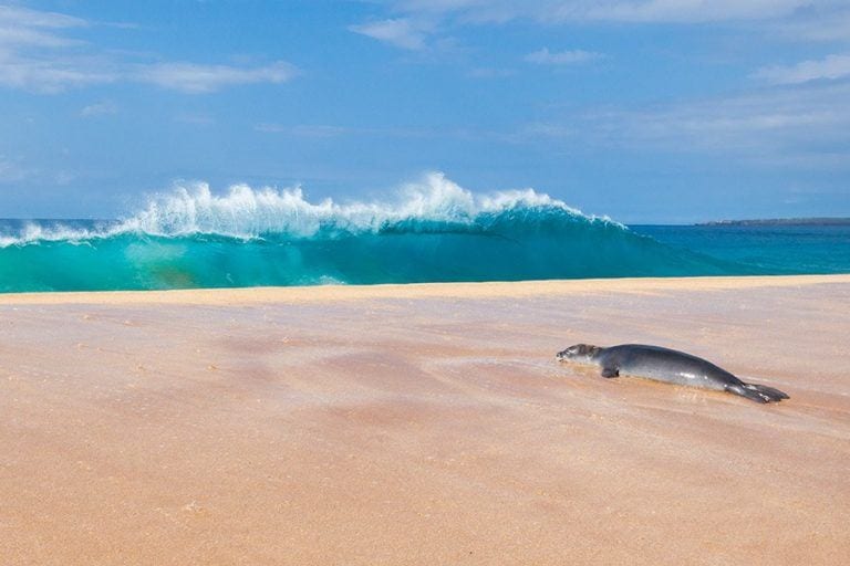 The Best Islands to See in Hawaii