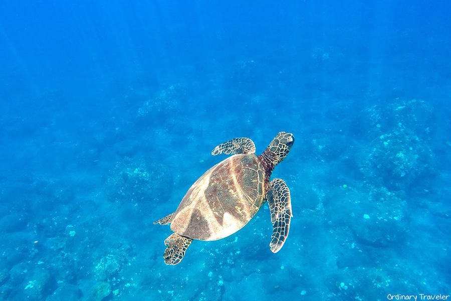 How to Choose the Best Hawaiian Island for Your Vacation