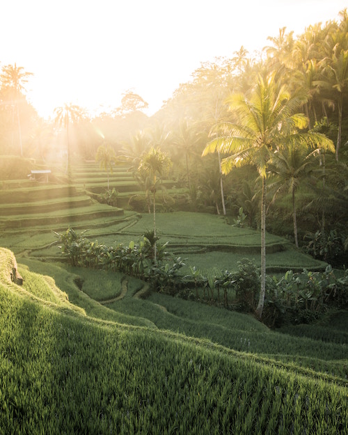 25 Best Honeymoon Destinations In The World (And Where To Stay)