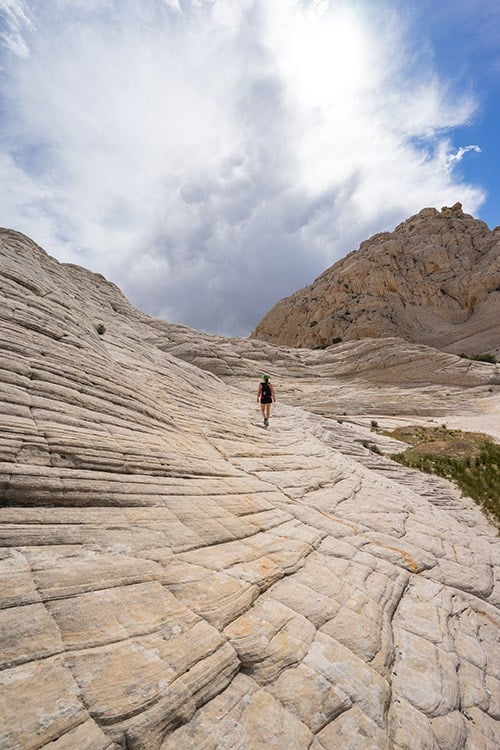 The Best Cameras for Hiking and Backpacking