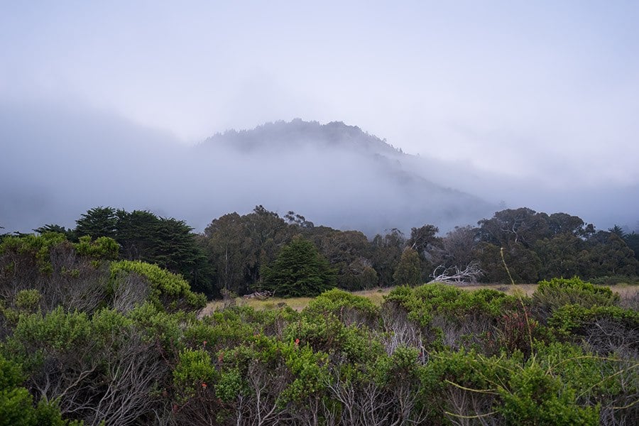 Big Sur Camping Guide: Best Places to Camp