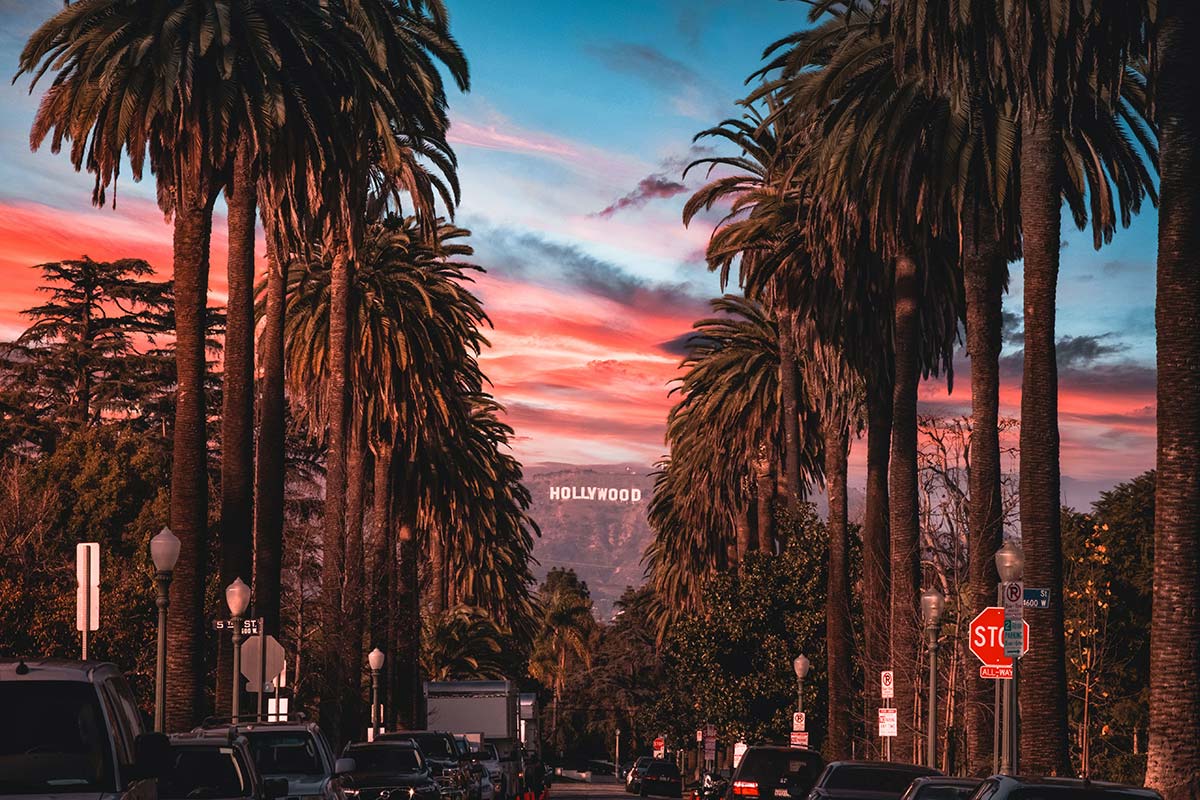 Road with Palm Trees and Hollywood Sign in Los Angeles