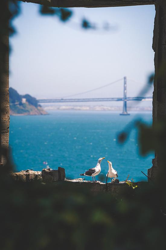 20 Best Things to Do in San Francisco