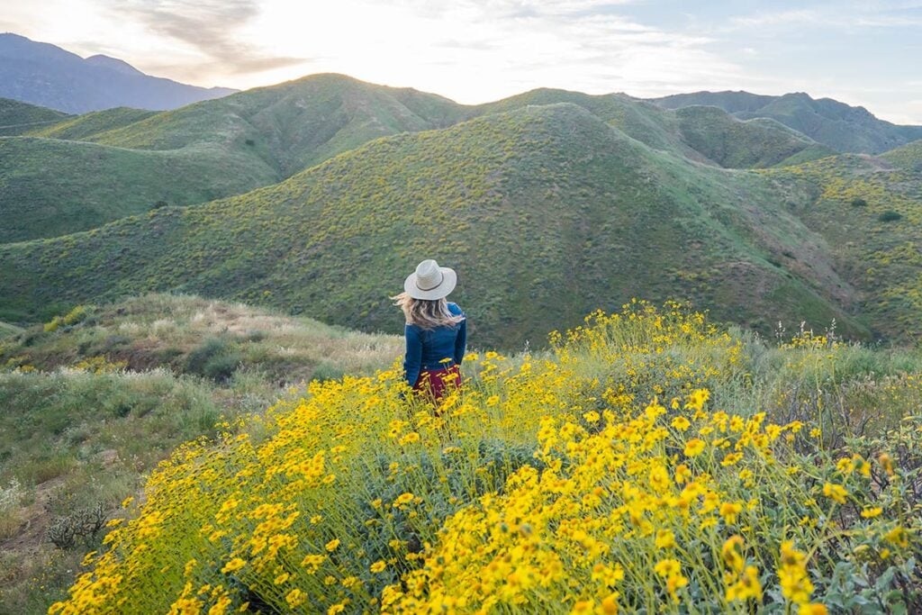 My 65 Best Travel Tips: Save Money, Avoid Mistakes & Travel Like A Pro