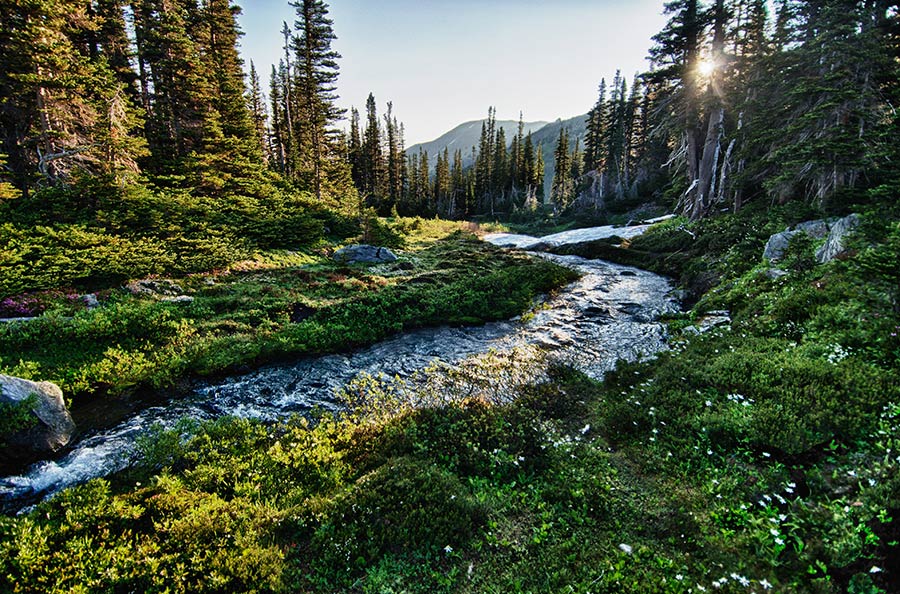 Best Weekend Getaways in Washington State