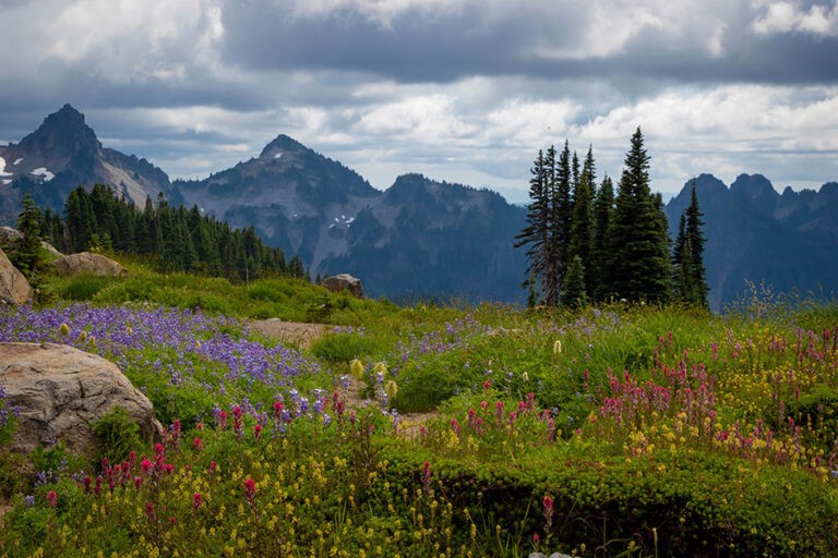 Best Weekend Getaways in Washington State
