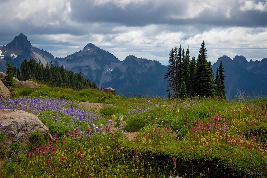 Best Weekend Getaways in Washington State