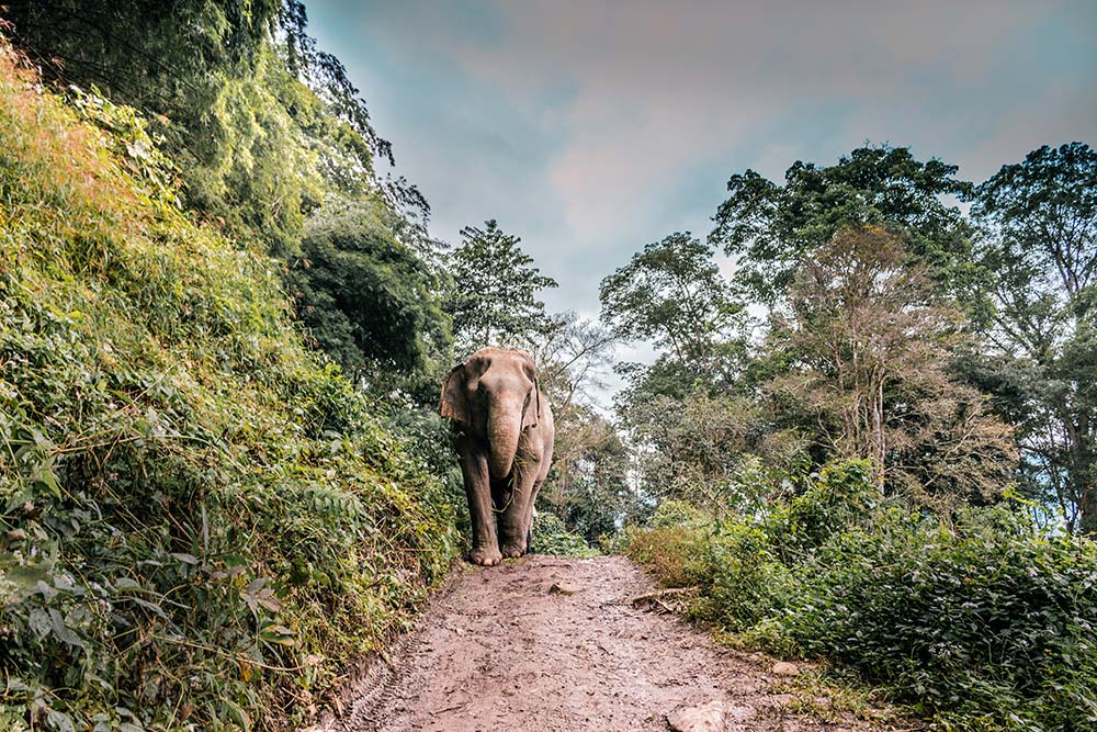 10 Best Work Abroad Experiences Around The World