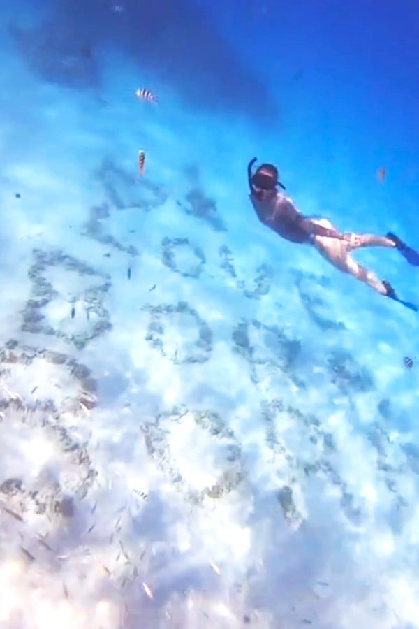 I love Bora Bora underwater snorkel tour
