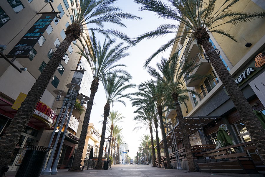 The Ultimate Travel Guide to Burbank, California