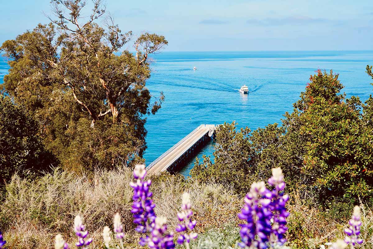 national parks in california channel islands pacific ocean view