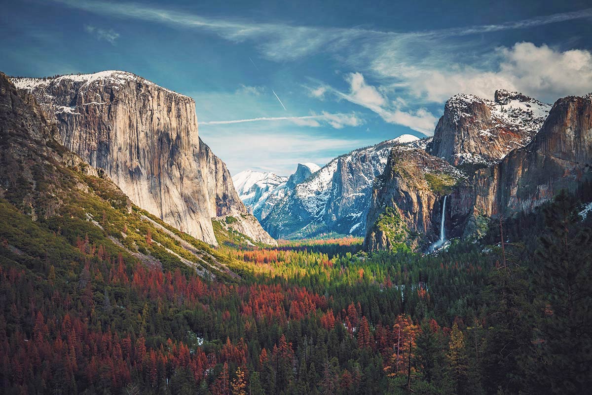 National Parks in California