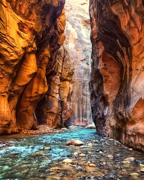 Camping in Zion National Park: Everything You Need to Know