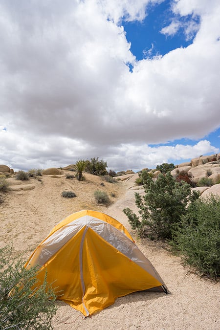 Camping In Joshua Tree (When To Go & The Best Campgrounds)