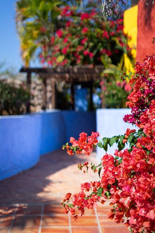 Careyes Mexico Colorful Walkways Casitas