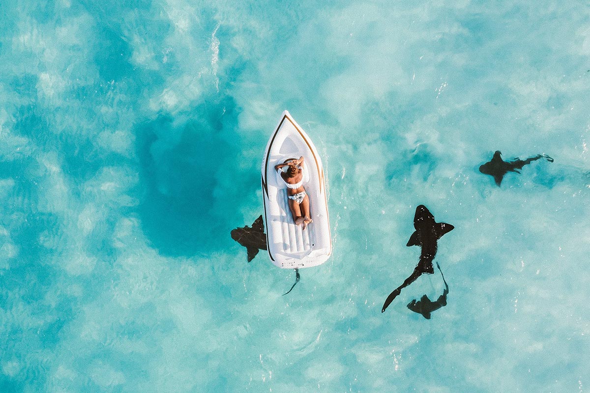 Bahamas All-Inclusive Resorts Shark Excursions