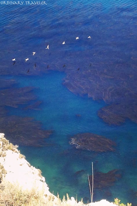 Channel Islands Santa Cruz Island Scorpion Anchorage