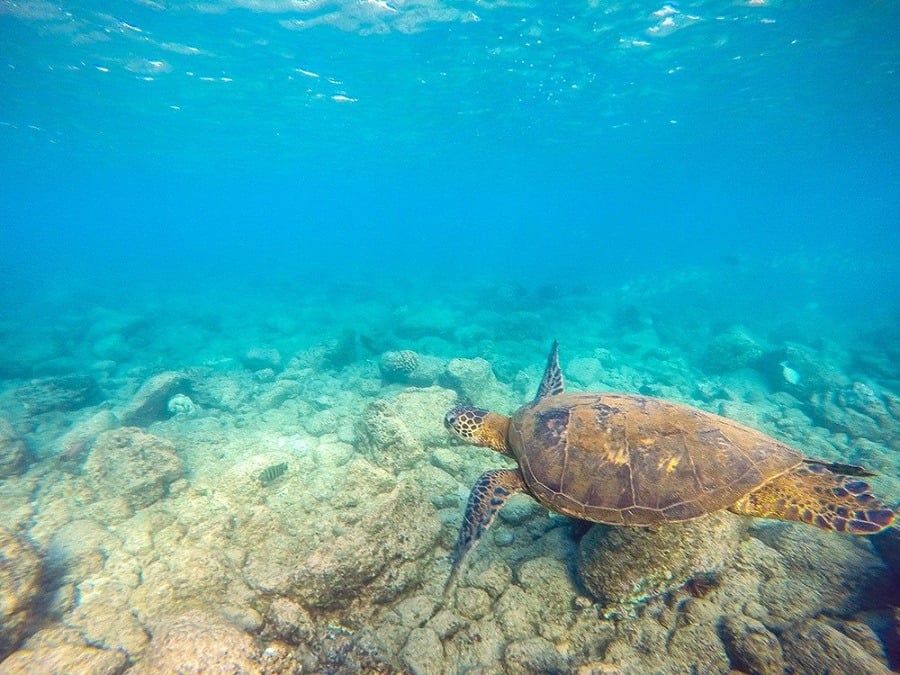 16 Affordable Tropical Destinations for Every Budget