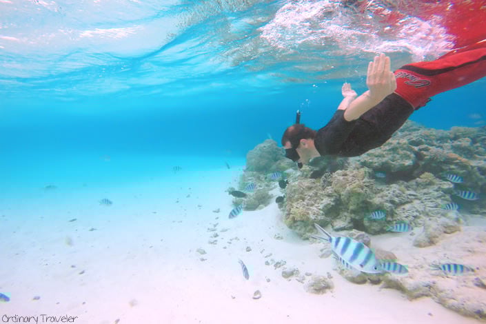 Cook Islands Travel Guide: Everything You Need to Know